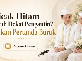 cicak hitam menurut islam